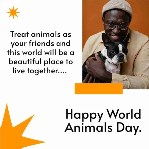 Color Palettes - White and Black Color Scheme