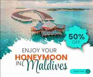 Color Palettes - White and Gray Color Scheme