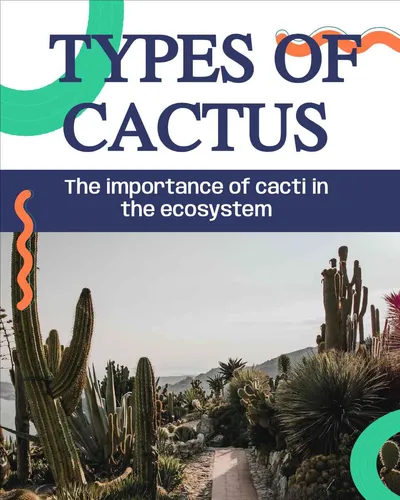 Color Palettes - White and Black Color Scheme