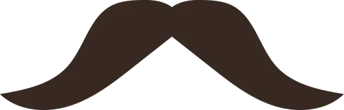 Color Palettes - Darkslategray Color Scheme Color Palettes - Darkslategray Color Scheme