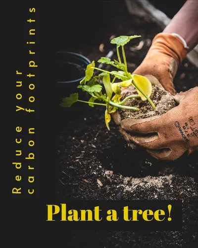 Color Palettes - Black and Peachpuff Color Scheme