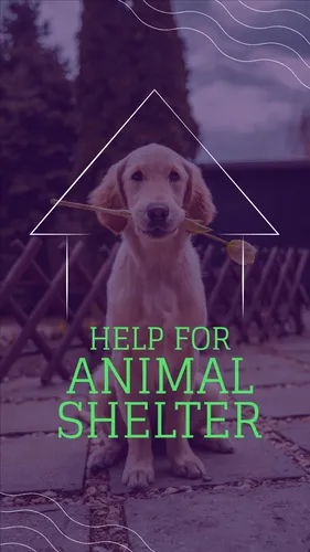 Color Palettes - Midnightblue and Slategray Color Scheme