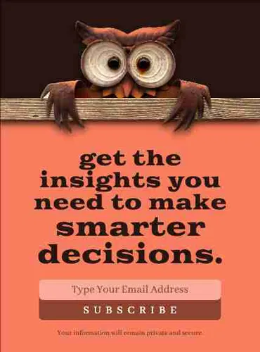 Color Palettes - Coral and Black Color Scheme