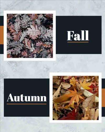 Color Palettes - Gainsboro and Black Color Scheme Color Palettes - Gainsboro and Black Color Scheme