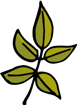 Color Palettes - Olivedrab and Black Color Scheme Color Palettes - Olivedrab and Black Color Scheme