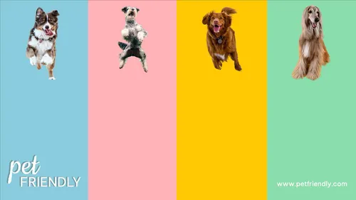 Color Palettes - Lightpink and Gold Color Scheme Color Palettes - Lightpink and Gold Color Scheme