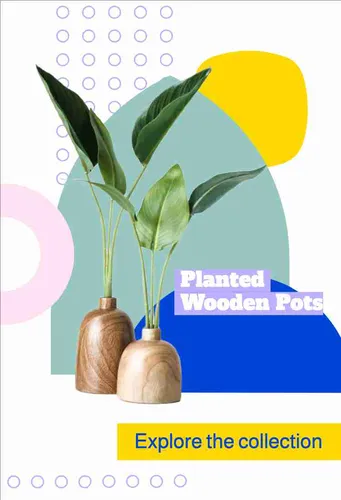 Color Palettes - White and Gold Color Scheme Color Palettes - White and Gold Color Scheme