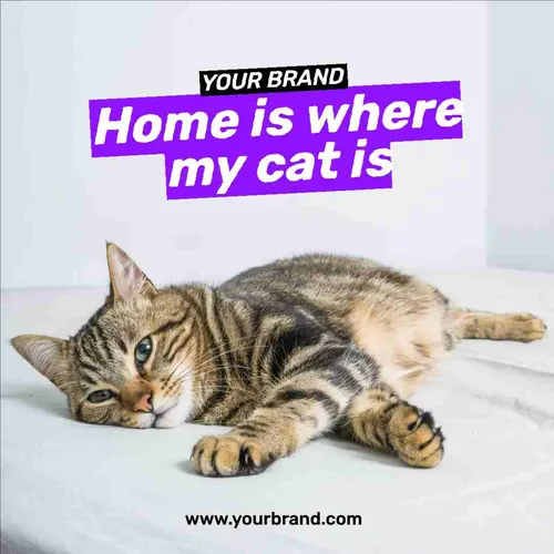 Color Palettes - Lavender and Dimgray Color Scheme