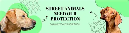 Color Palettes - Paleturquoise and Palegreen Color Scheme Color Palettes - Paleturquoise and Palegreen Color Scheme