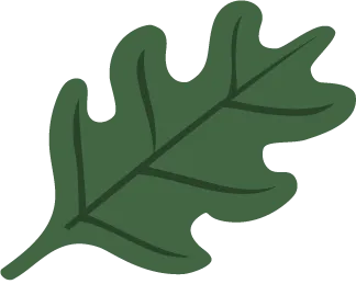 Color Palettes - Darkolivegreen Color Scheme Color Palettes - Darkolivegreen Color Scheme