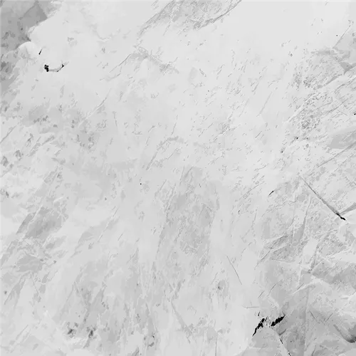 Color Palettes - Lightgray and Black Color Scheme