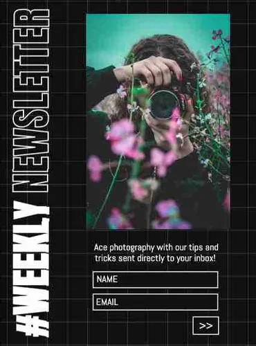 Color Palettes - Black and Dimgray Color Scheme