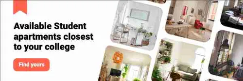 Color Palettes - White and Gray Color Scheme Color Palettes - White and Gray Color Scheme