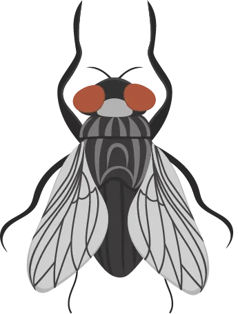 Color Palettes - Darkslategray and Lightgray Color Scheme