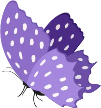 Color Palettes - Mediumpurple and Whitesmoke Color Scheme