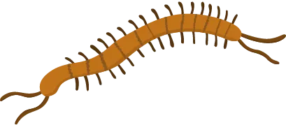 Color Palettes - Chocolate and Saddlebrown Color Scheme Color Palettes - Chocolate and Saddlebrown Color Scheme