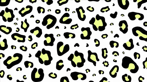 Color Palettes - White and Black Color Scheme Color Palettes - White and Black Color Scheme