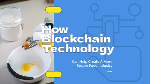 Color Palettes - Cornflowerblue and White Color Scheme