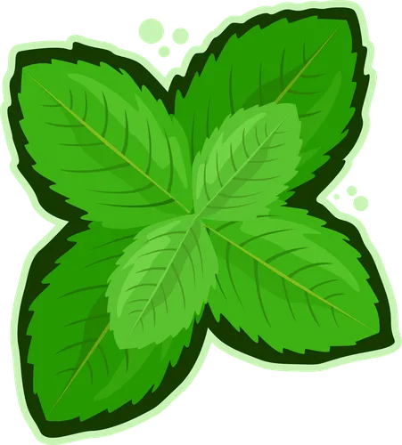 Color Palettes - Limegreen and Darkgreen Color Scheme Color Palettes - Limegreen and Darkgreen Color Scheme