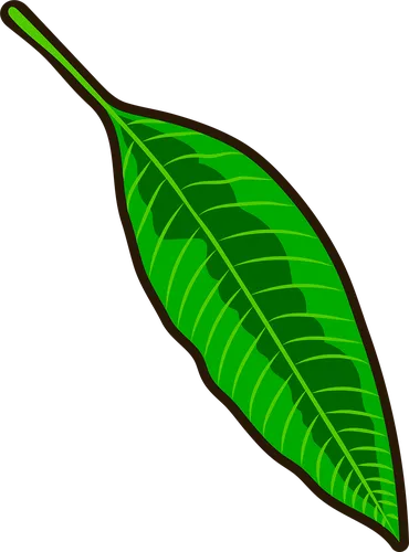 Color Palettes - Green and Darkgreen Color Scheme Color Palettes - Green and Darkgreen Color Scheme