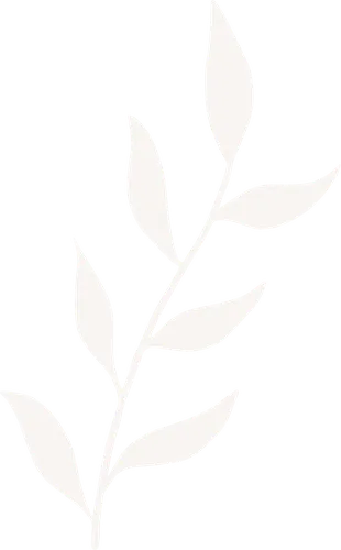 Color Palettes - Whitesmoke Color Scheme Color Palettes - Whitesmoke Color Scheme