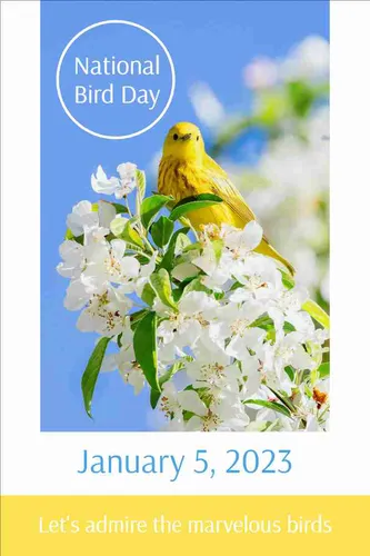 Color Palettes - White and Cornflowerblue Color Scheme