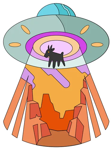 Color Palettes - Coral and White Color Scheme