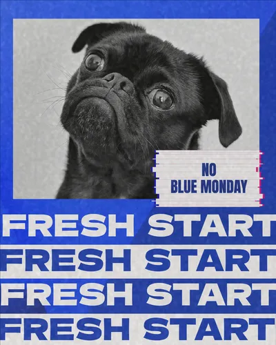 Color Palettes - Gainsboro and Darkslateblue Color Scheme Color Palettes - Gainsboro and Darkslateblue Color Scheme