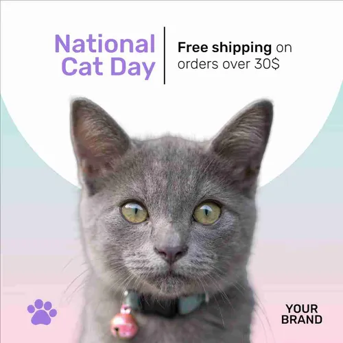 Color Palettes - White and Dimgray Color Scheme Color Palettes - White and Dimgray Color Scheme