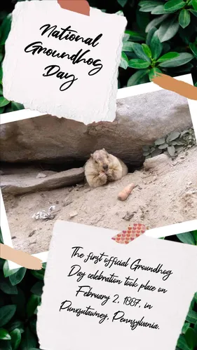 Color Palettes - Whitesmoke and Black Color Scheme