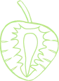 Color Palettes - Palegreen Color Scheme Color Palettes - Palegreen Color Scheme