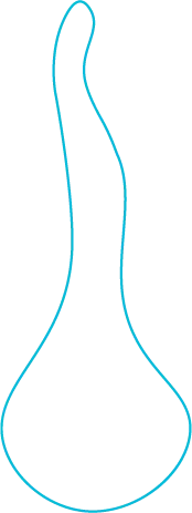 Color Palettes - Darkturquoise Color Scheme Color Palettes - Darkturquoise Color Scheme