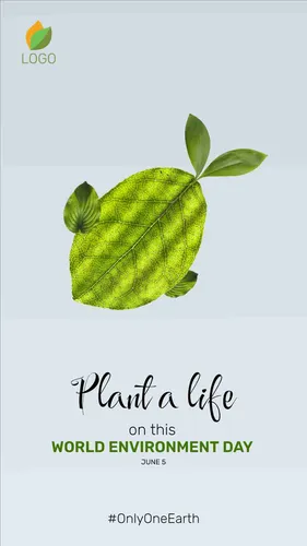 Color Palettes - Gainsboro and Yellowgreen Color Scheme Color Palettes - Gainsboro and Yellowgreen Color Scheme