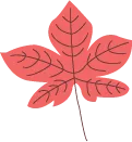 Color Palettes - Salmon and Sienna Color Scheme Color Palettes - Salmon and Sienna Color Scheme