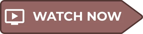 Color Palettes - Dimgray and White Color Scheme