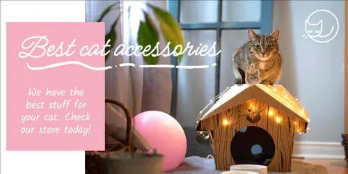 Color Palettes - Lightpink and Gray Color Scheme