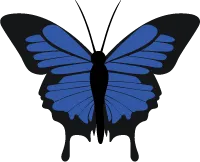Color Palettes - Black and Darkslateblue Color Scheme Color Palettes - Black and Darkslateblue Color Scheme