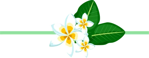 Color Palettes - Darkgreen and White Color Scheme