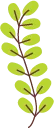 Color Palettes - Yellowgreen and Saddlebrown Color Scheme Color Palettes - Yellowgreen and Saddlebrown Color Scheme