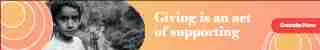 Color Palettes - Lightsalmon and Gray Color Scheme Color Palettes - Lightsalmon and Gray Color Scheme
