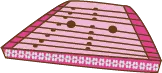Color Palettes - Pink and Saddlebrown Color Scheme Color Palettes - Pink and Saddlebrown Color Scheme
