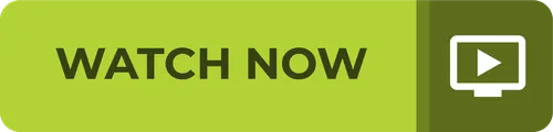 Color Palettes - Yellowgreen and Darkolivegreen Color Scheme Color Palettes - Yellowgreen and Darkolivegreen Color Scheme