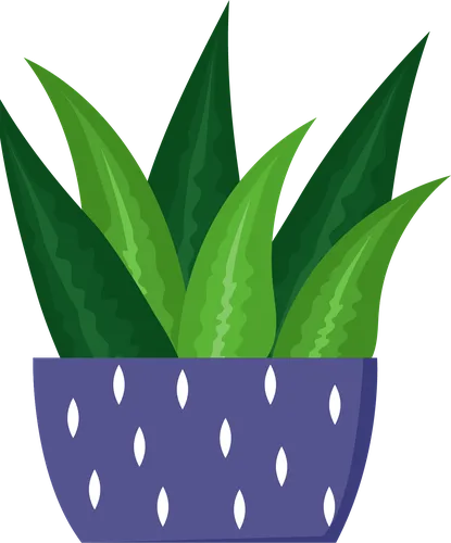Color Palettes - Darkslateblue and Darkgreen Color Scheme Color Palettes - Darkslateblue and Darkgreen Color Scheme