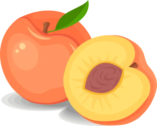 Color Palettes - Sandybrown and Khaki Color Scheme Color Palettes - Sandybrown and Khaki Color Scheme