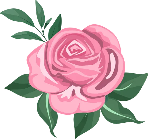 Color Palettes - Hotpink and Darkslategray Color Scheme