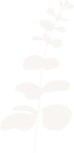 Color Palettes - Whitesmoke Color Scheme Color Palettes - Whitesmoke Color Scheme