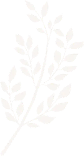 Color Palettes - Whitesmoke Color Scheme Color Palettes - Whitesmoke Color Scheme