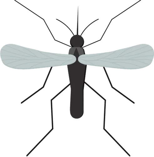 Color Palettes - Silver and Darkslategray Color Scheme