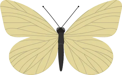 Color Palettes - Khaki and Darkslategray Color Scheme Color Palettes - Khaki and Darkslategray Color Scheme