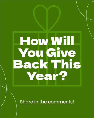 Color Palettes - Darkolivegreen and White Color Scheme